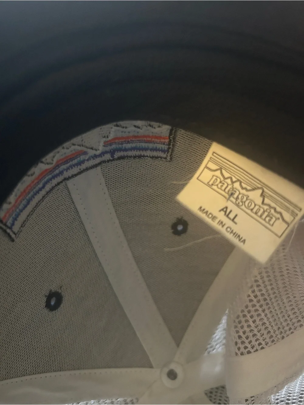 Patagonia  Truckers Hat